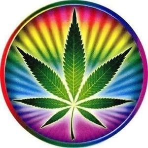 Meet your Posher, Kenny